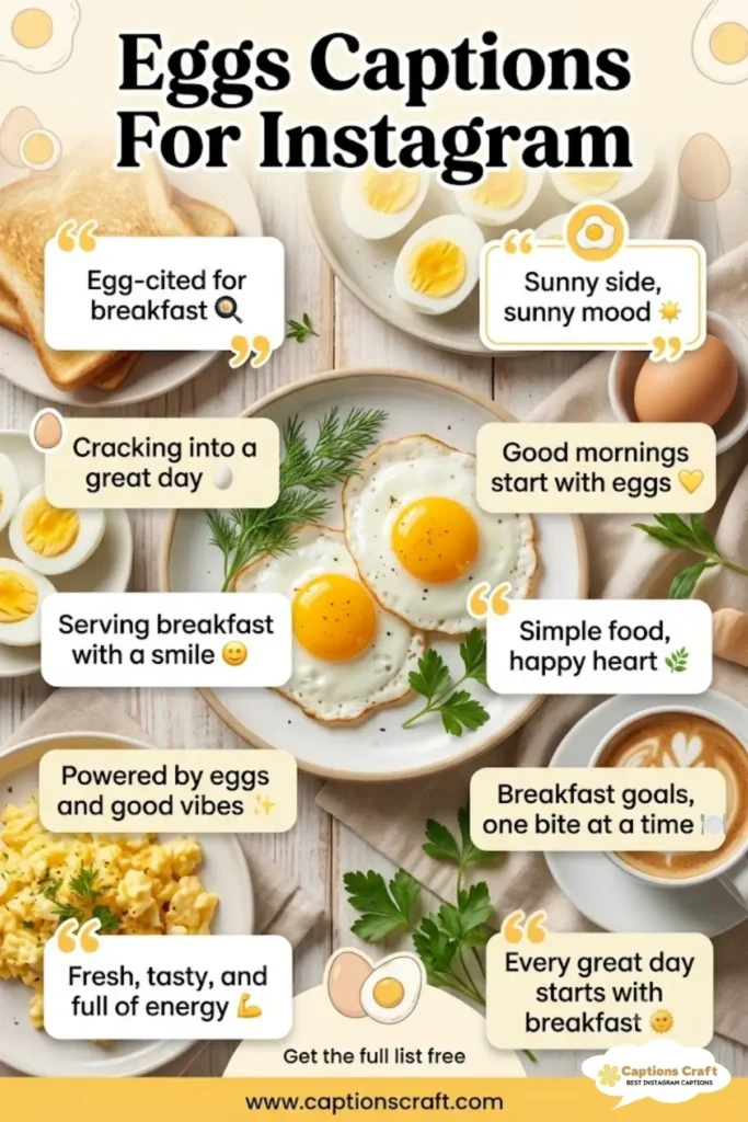 137+ Deliciously Fun Eggs Captions For Instagram and Quotes That Will Spark Joy