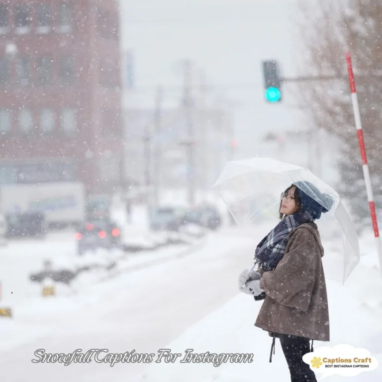 137+ Magical Snowfall Captions For Instagram and Quotes to Spark Joy