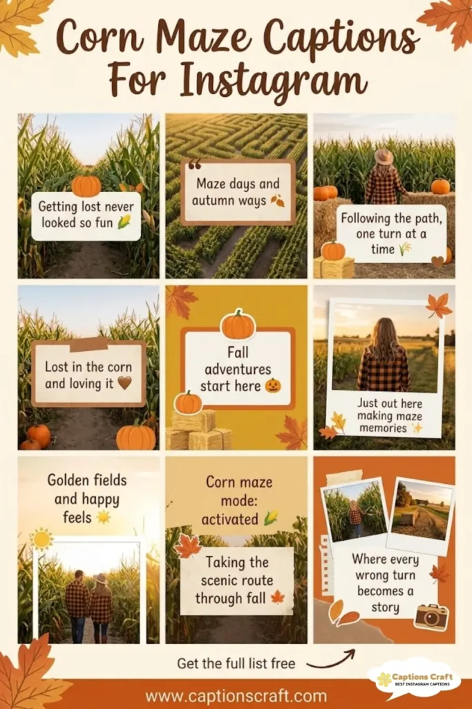 Harvest Joy with Corn Maze Captions For Instagram and Quotes 145+ Unique and Fun
