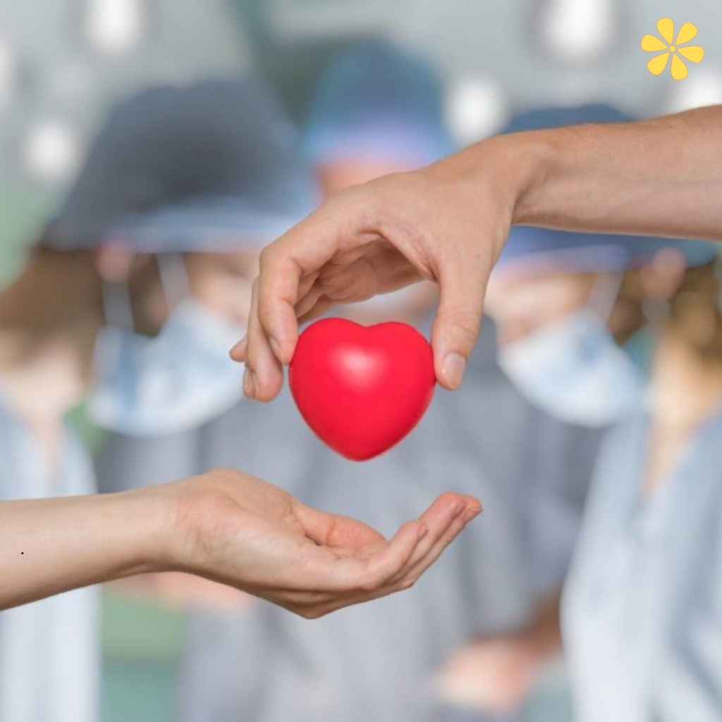 Donor Day Quotes