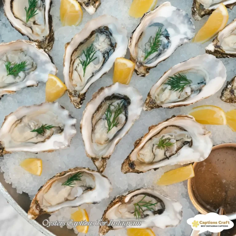 Oysters Captions For Instagram