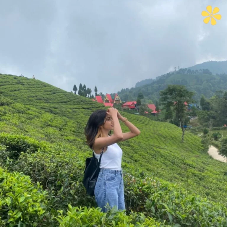 Tea Garden Captions for Instagram