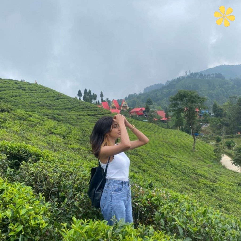200+ Tea Garden Captions for Instagram to Celebrate Serene Beauty 7 Tea Garden Captions for Instagram