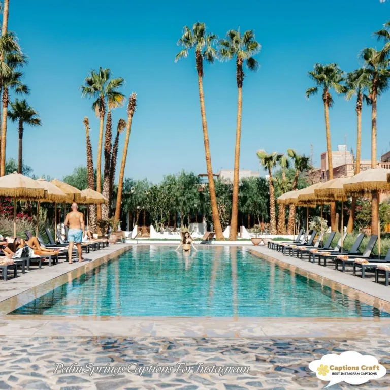 125+ Inspiring Palm Springs Captions For Instagram and Quotes to Brighten Your Feed