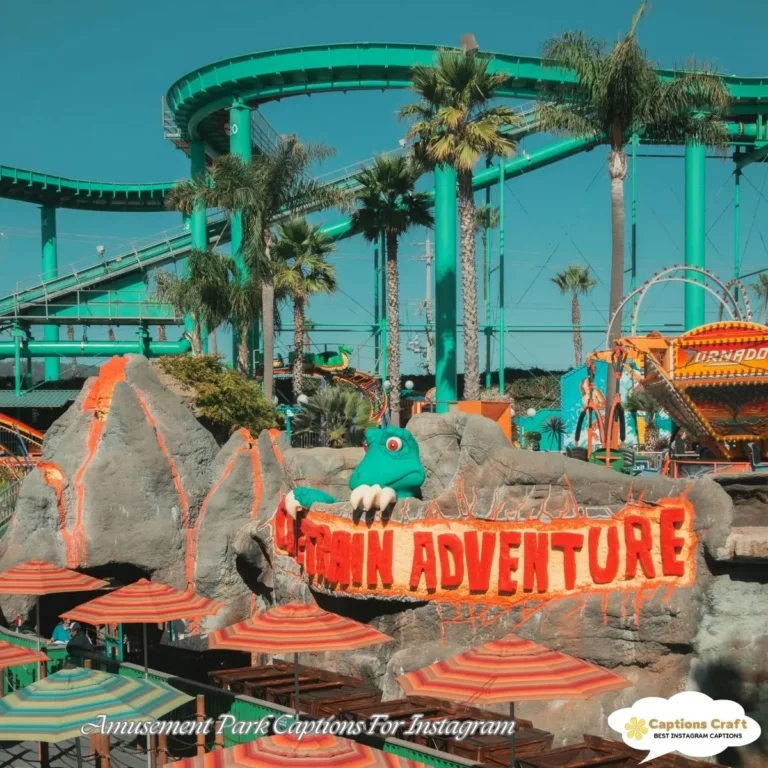 129+ Thrilling Amusement Park Captions For Instagram And Quotes That Spark Joy