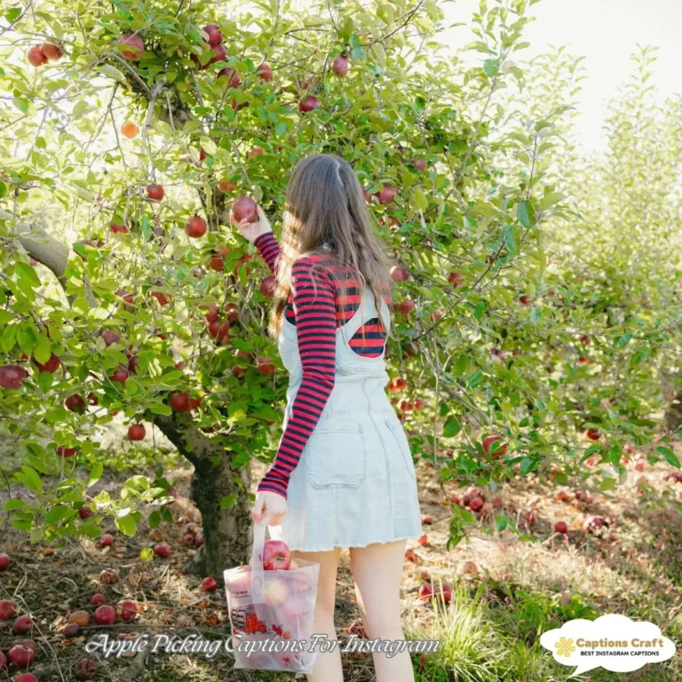 149+ Fun Apple Picking Captions For Instagram And Quotes For Cozy Farm Days