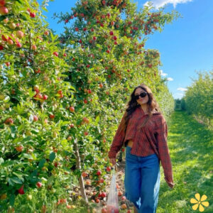 Savor 125+ Charming Apple Orchard Instagram Captions for Your Memories