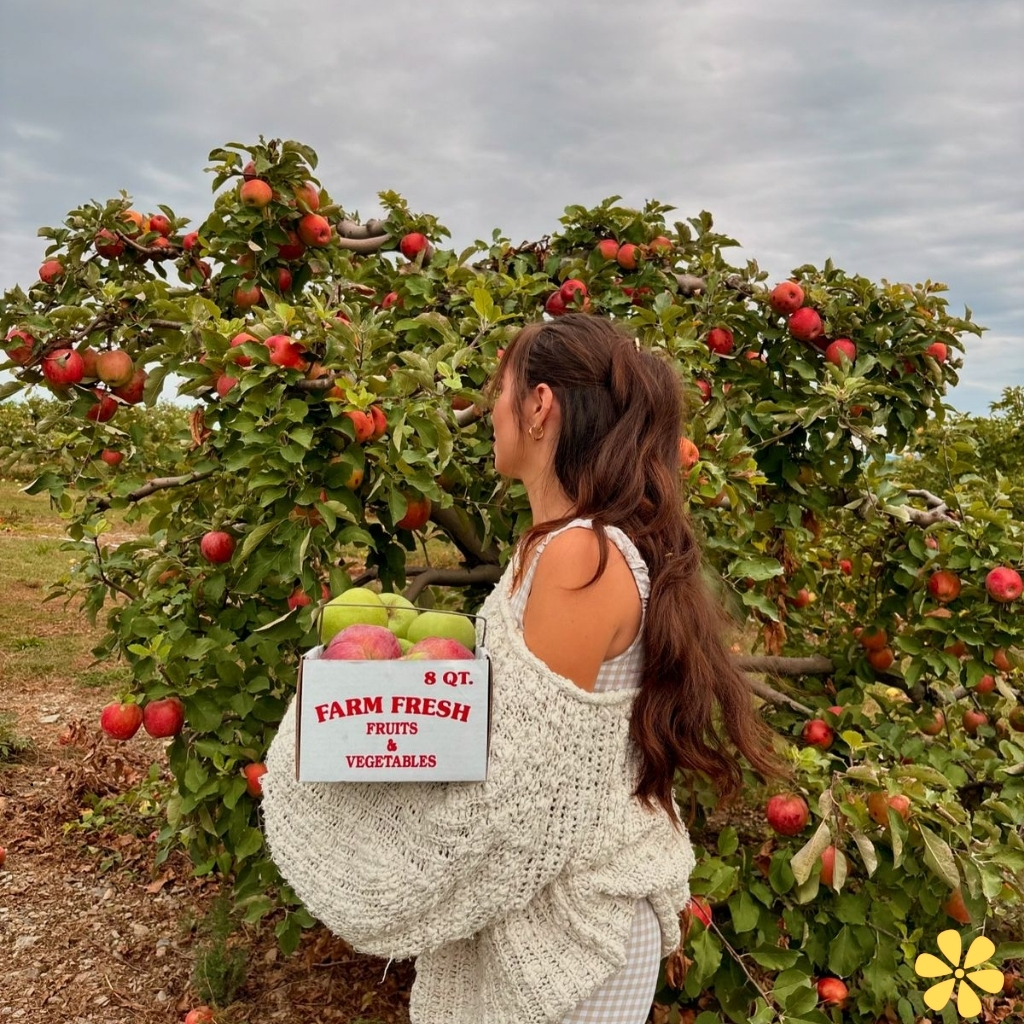 200+ Apple Picking Instagram Captions For Orchard Days And Cozy Vibes 4 Apple Picking Captions For Instagram
