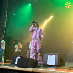 200 Best Babytron Quotes And Lyrics For Captions To Inspire Your Posts