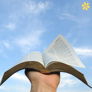 Faithful Inspirations with 135+ Bible Captions For Instagram That Shine