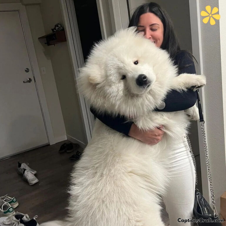 Big Dog Captions For Instagram