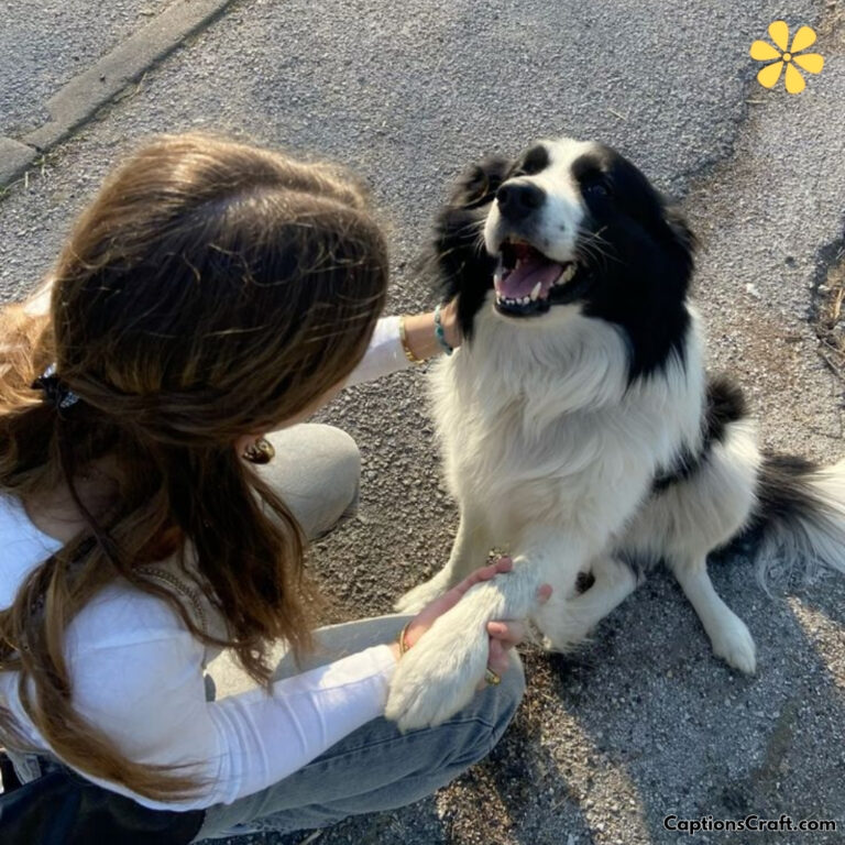 Black And White Dog Instagram Captions