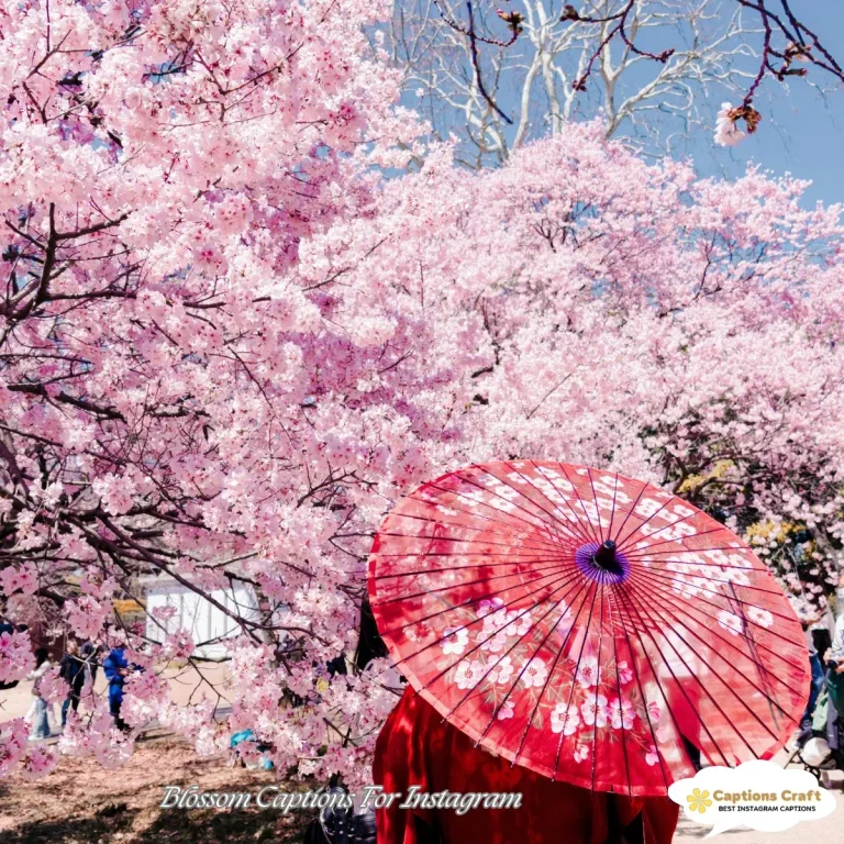 Blossom Captions For Instagram