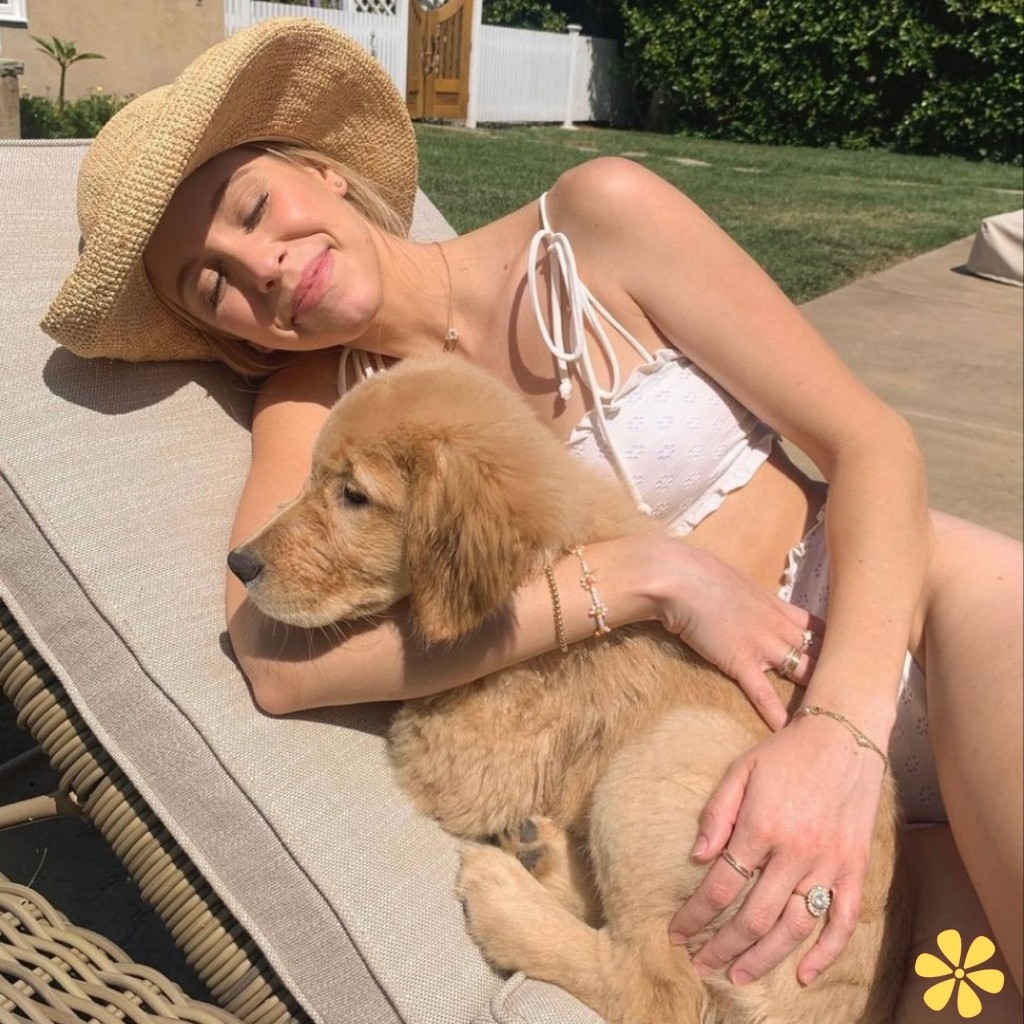 200+ Captions By Pretty Dog On Instagram for Your Furry Friend y 25 Captions By Pretty Dog On Instagram