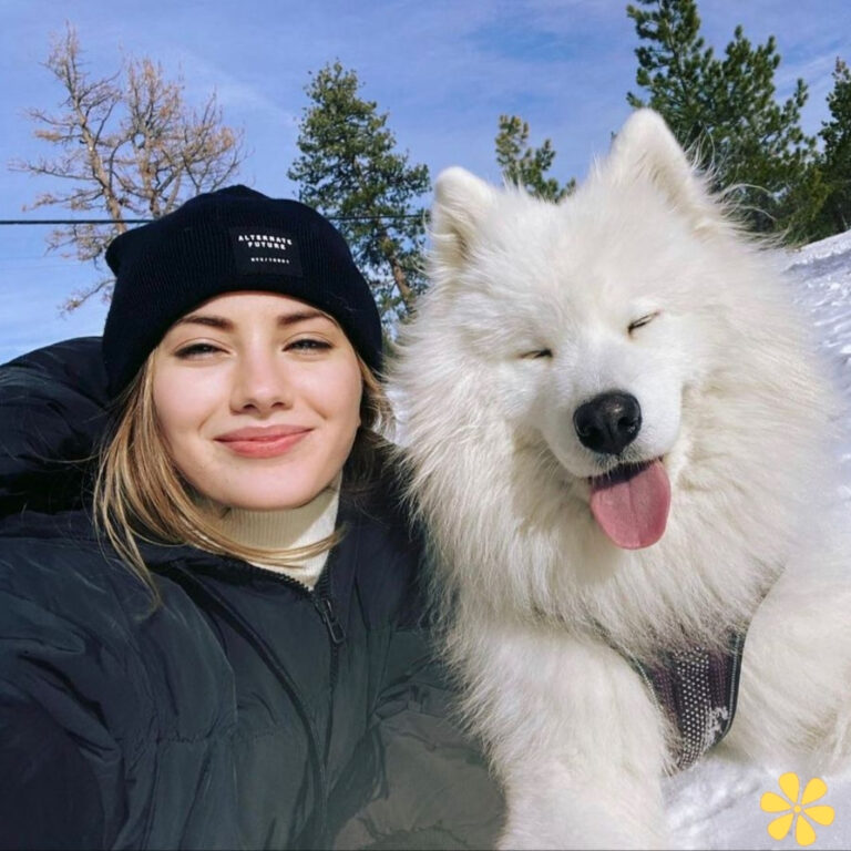 Captions Dog Instagram Bio Ideas