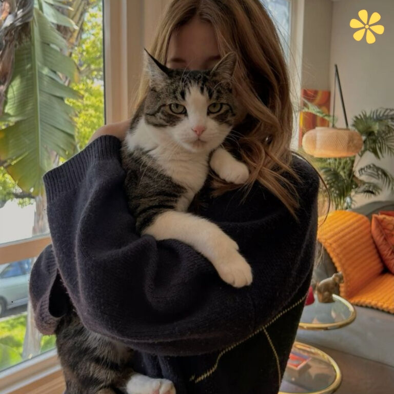 Cat Captions For Instagram 1