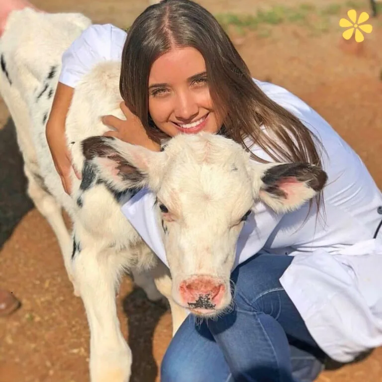 123+ Moo-tiful Cow Captions For Instagram and Quotes to Boost Your Fun Factor