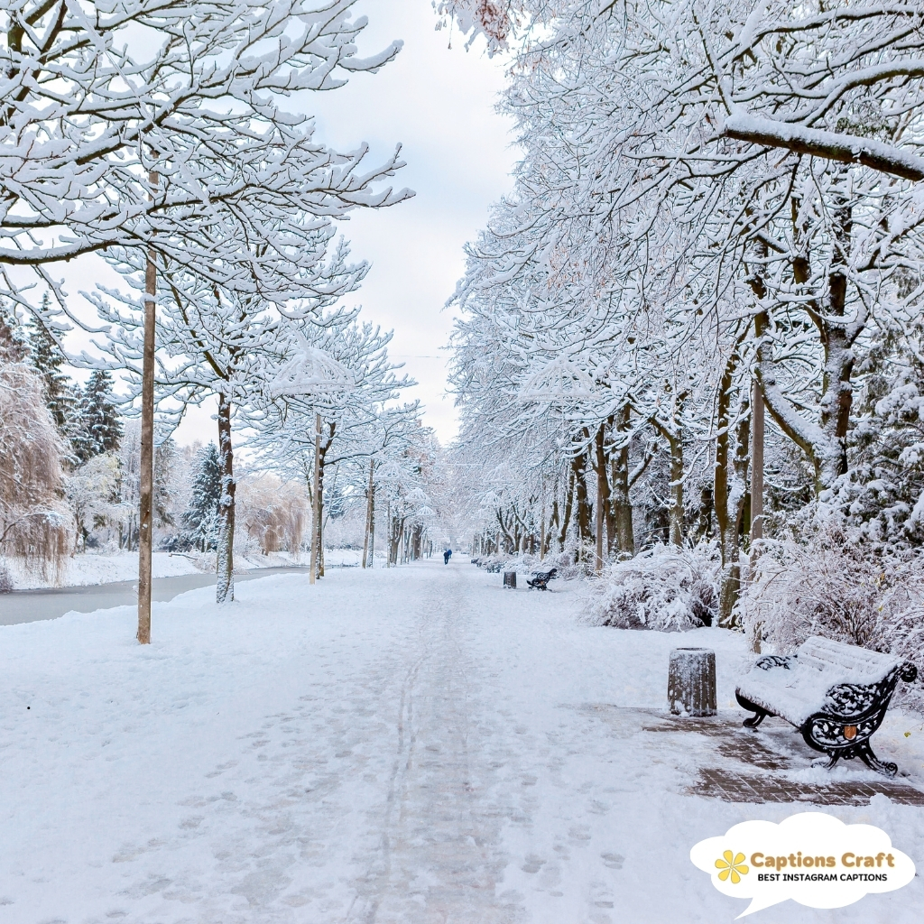 Cozy Snow Captions For Instagram With Beautiful Quotes