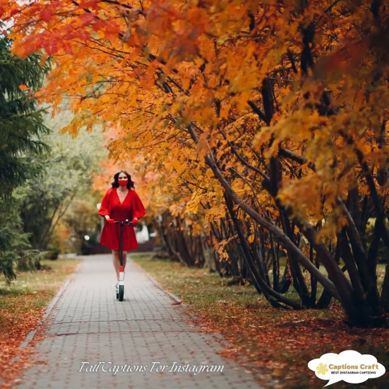Cozy Up with 135+ Unique Fall Captions For Instagram And Quotes That Spark Joy