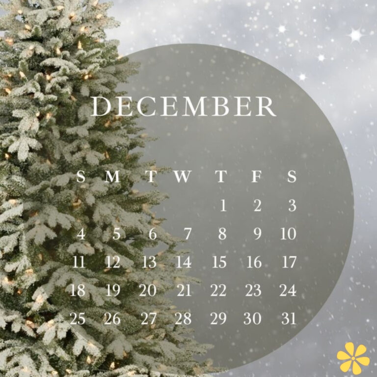 December Daily Captions