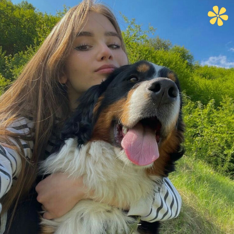 Dog Captions Instagram