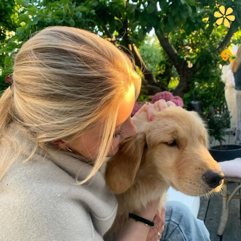 Dog Instagram Captions