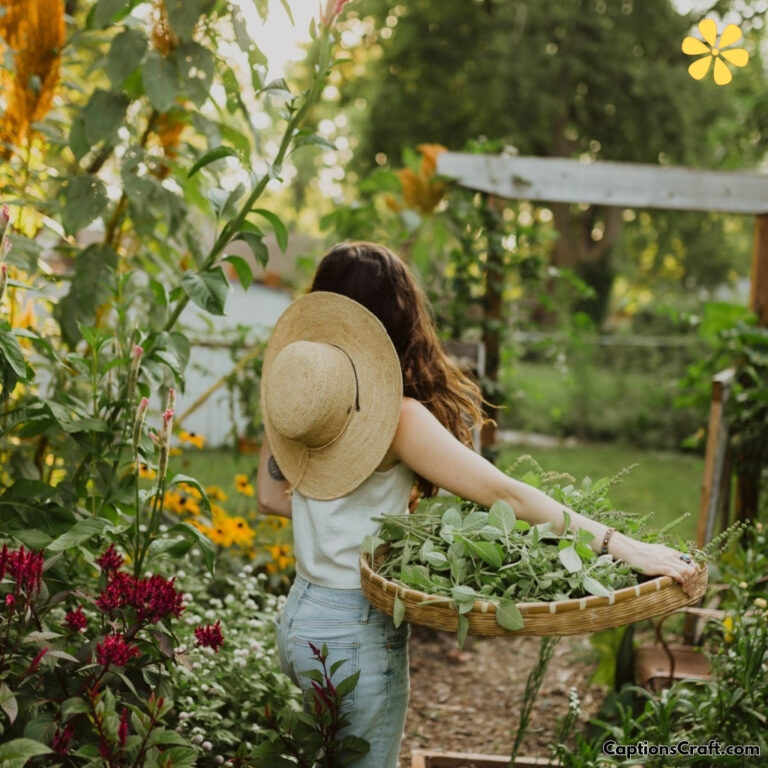 Farming Captions For Instagram