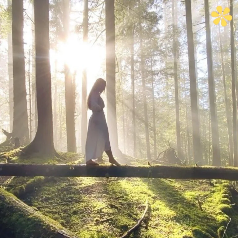 Forest Captions For Instagram 1