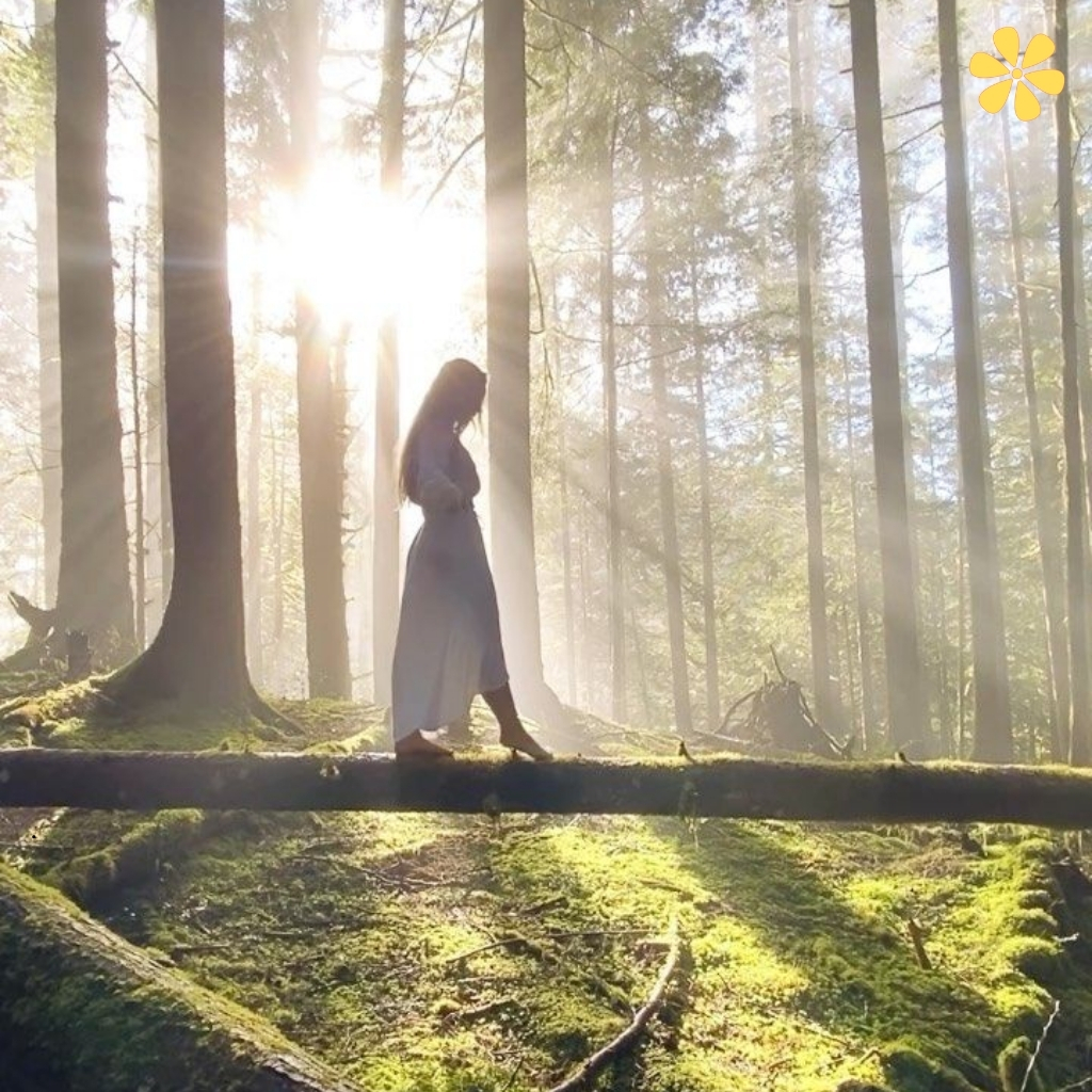 200+ Forest Captions For Instagram That Bring Nature to Life and Inspire Adventure 6 Forest Captions For Instagram 1