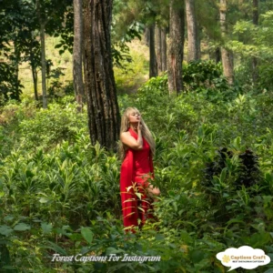 127+ Enchanting Forest Captions For Instagram and Quotes That Inspire Adventure