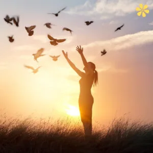 200+ Forgiveness Quotes Inspiring Healing and Peace