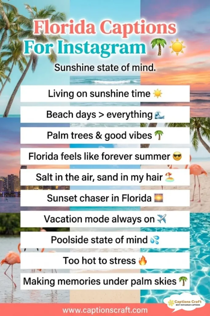 127+ Creative Florida Captions For Instagram And Quotes That Spark Joy and Adventure