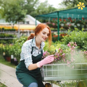 200+ Garden Instagram Captions for Beautiful Outdoor Photos