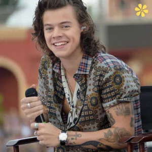 200+ Good Harry Styles Instagram Captions for Your Posts Z