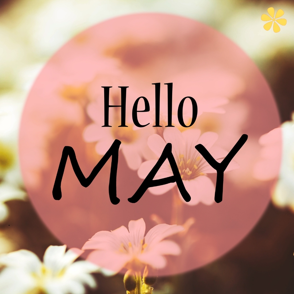 Hello May Quotes And Captions