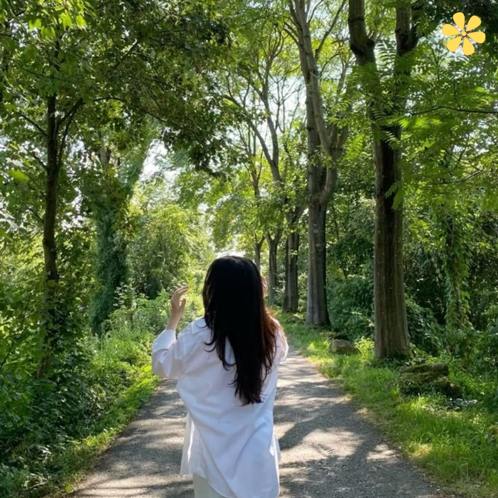 Jungle Captions For Instagram