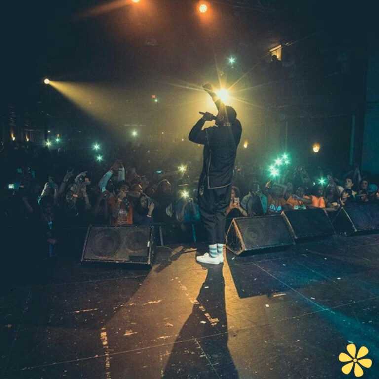 A performer stands on stage, raising a hand while fans cheer, capturing a vibrant moment.