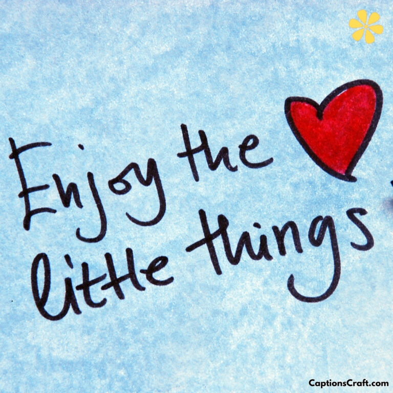 Little Things Quotes