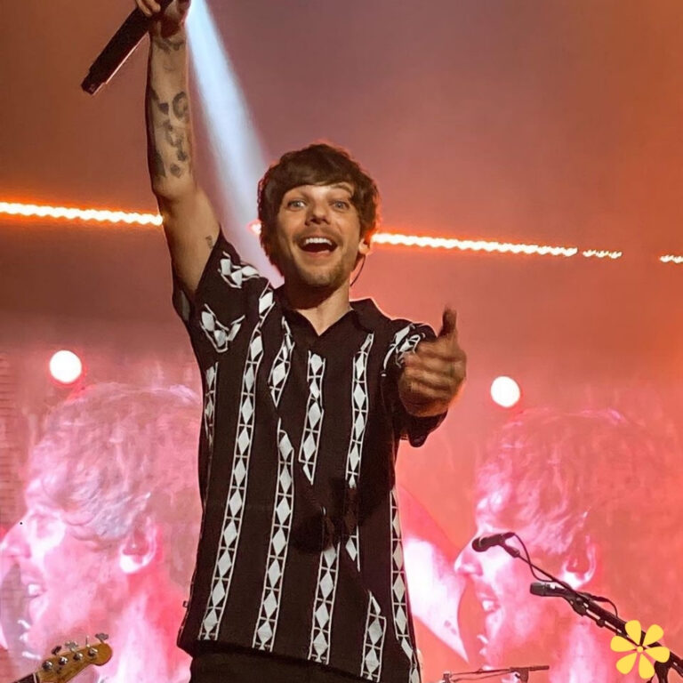 Louis Tomlinson Lyrics Captions