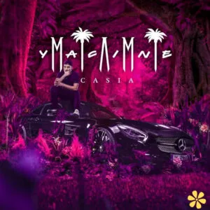 200+ Miami Song Lyrics For Instagram Captions for Your Next Post zzy