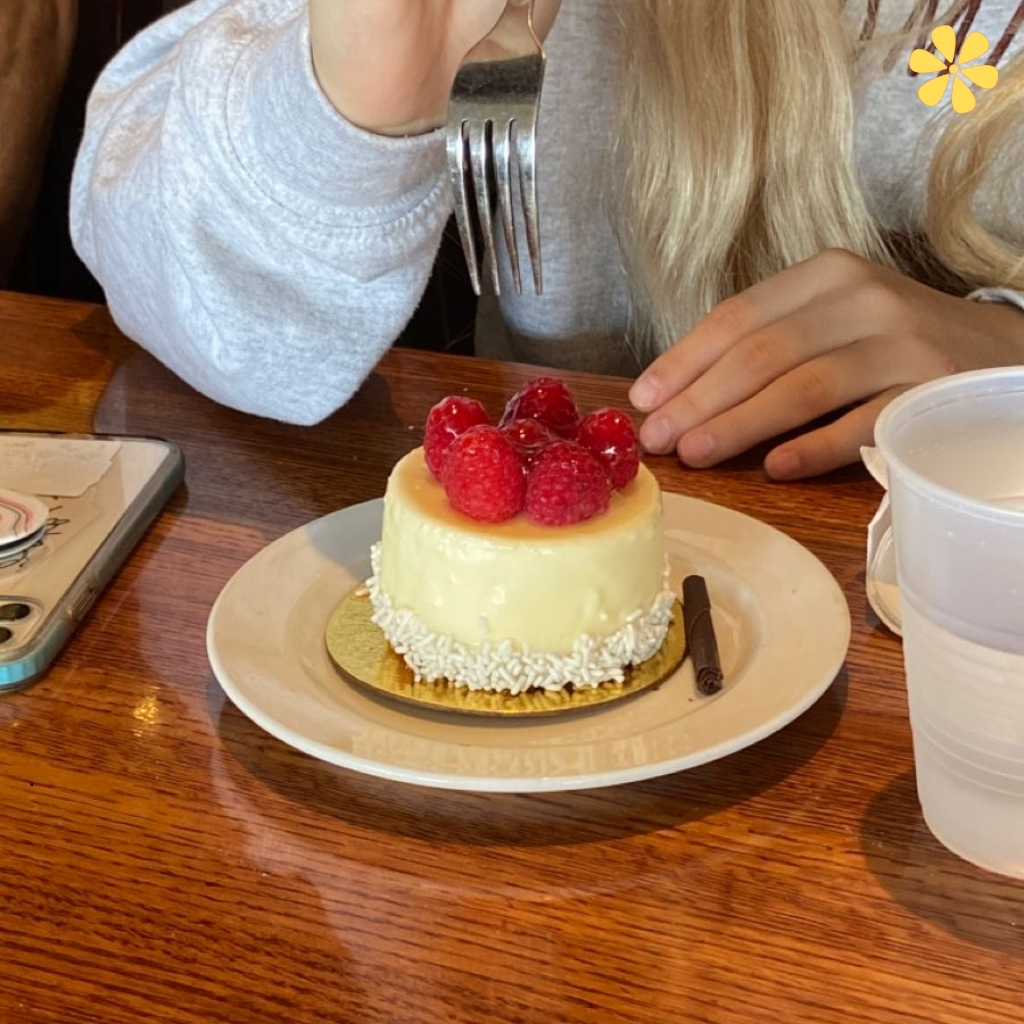 National Cheesecake Day Captions