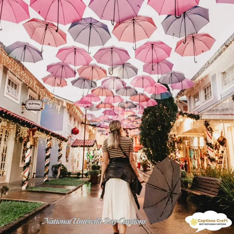 National Umbrella Day Captions