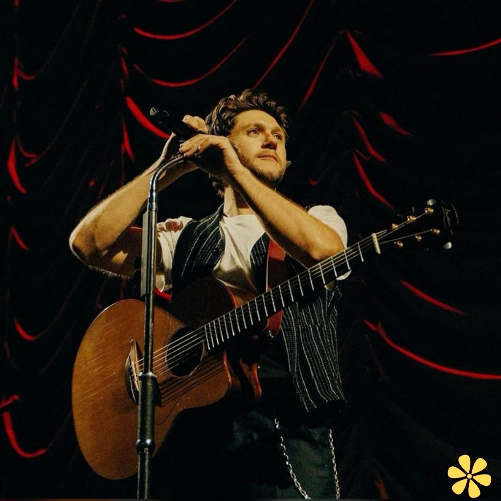 Niall Horan Lyrics Captions