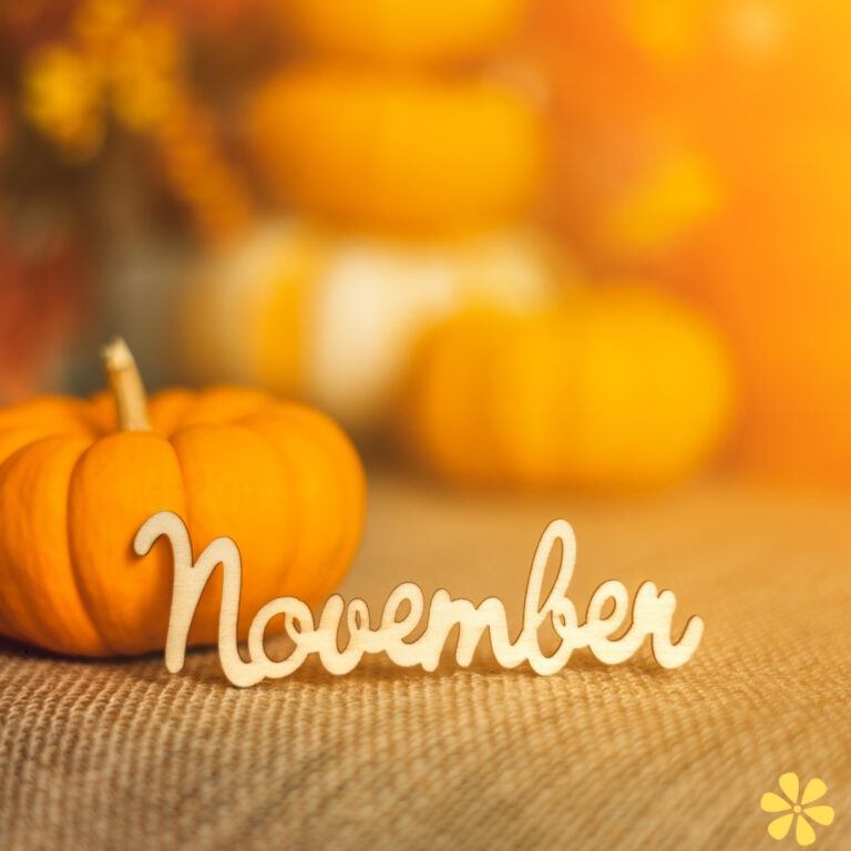 November Instagram Captions