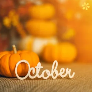 200+ October Daily Captions for Perfect Fall Photos yzz