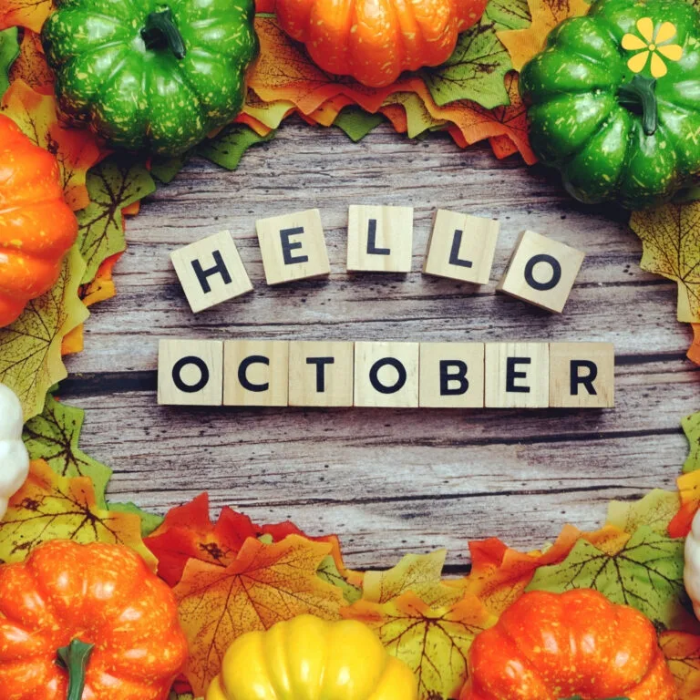 147+ Inspiring October Captions For Instagram and Quotes to Brighten Your Feed