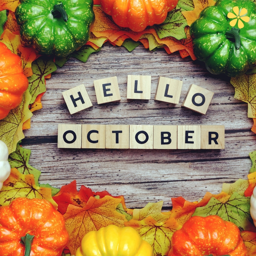 200+ October Captions for Instagram to Celebrate Fall and Spooky Vibes 9 October Instagram Captions
