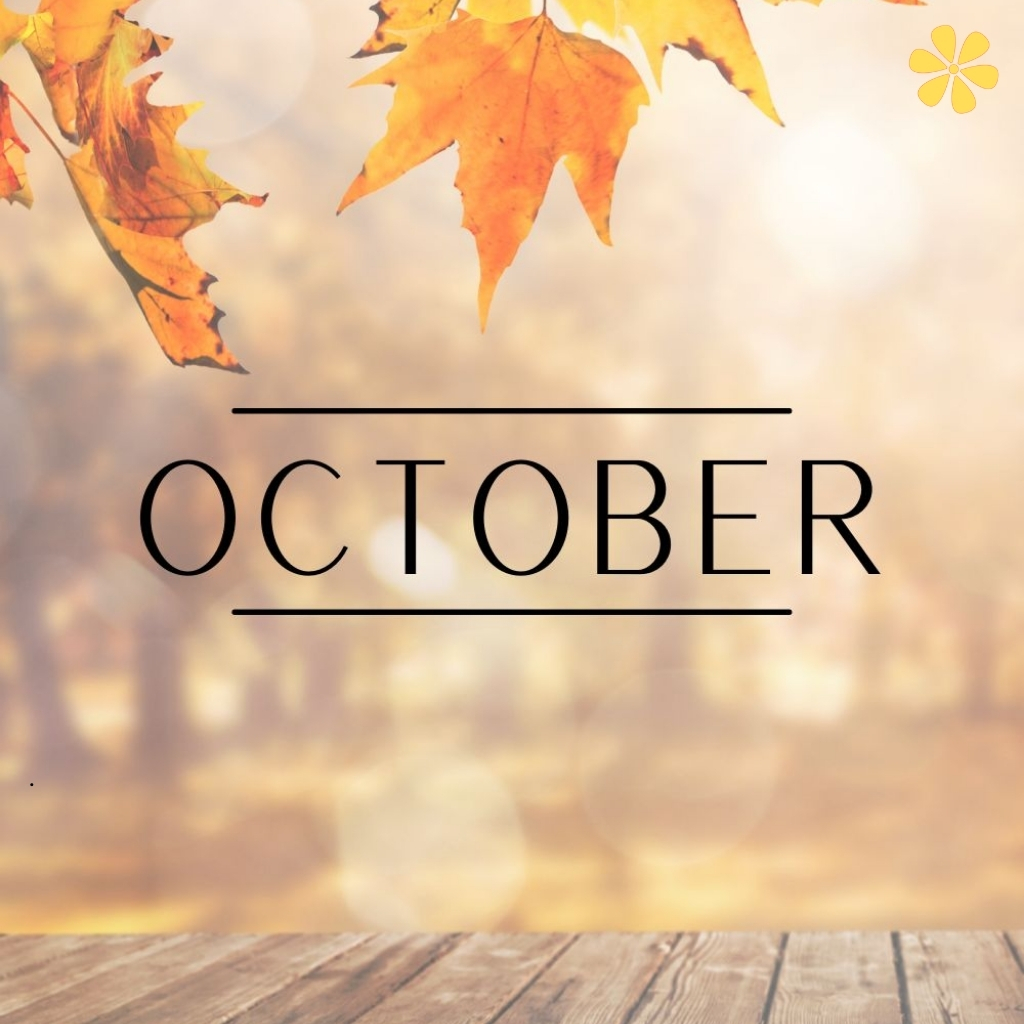 200+ October Special Day Quotes to Celebrate the Month zz 17 October Special Day Quotes