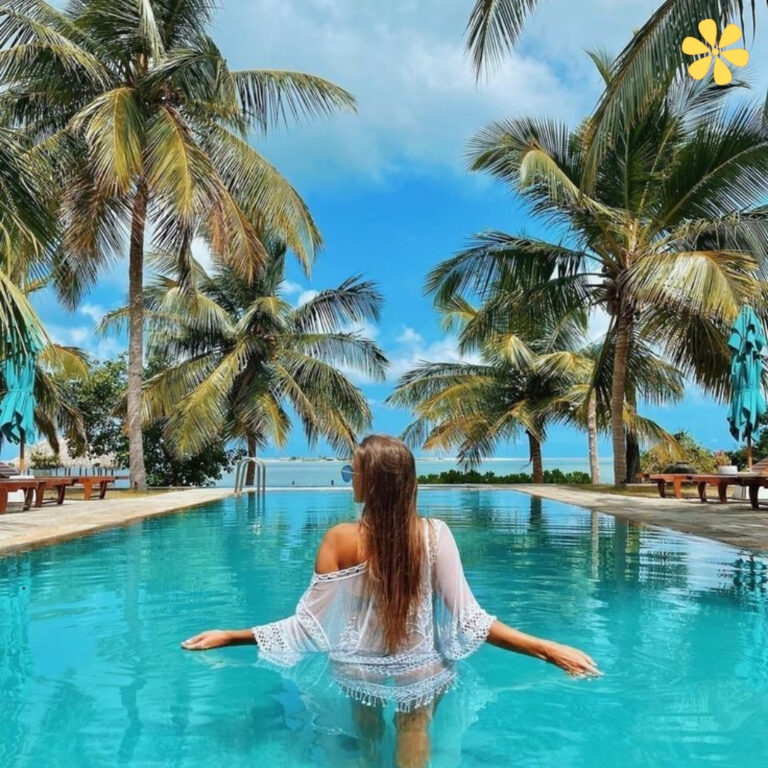 Palm Tree Captions And Palm Tree Quotes For Instagram