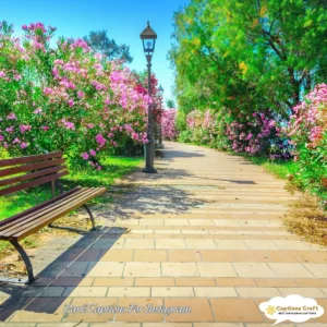 139+ Inspiring Park Captions For Instagram and Quotes to Brighten Your Feed